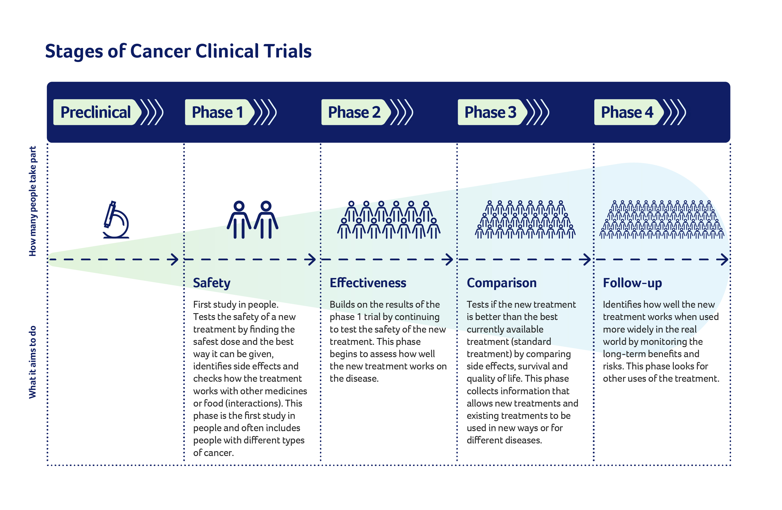 Phases of clinical trials Phases of clinical trials